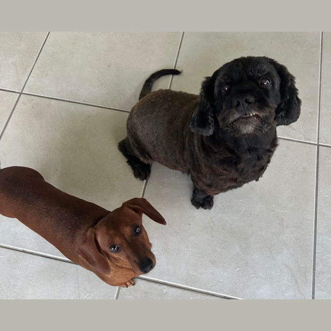 Photo of Lucy And Stanley