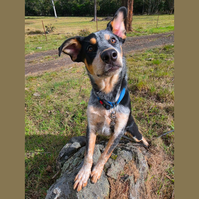 Photo of Wally
