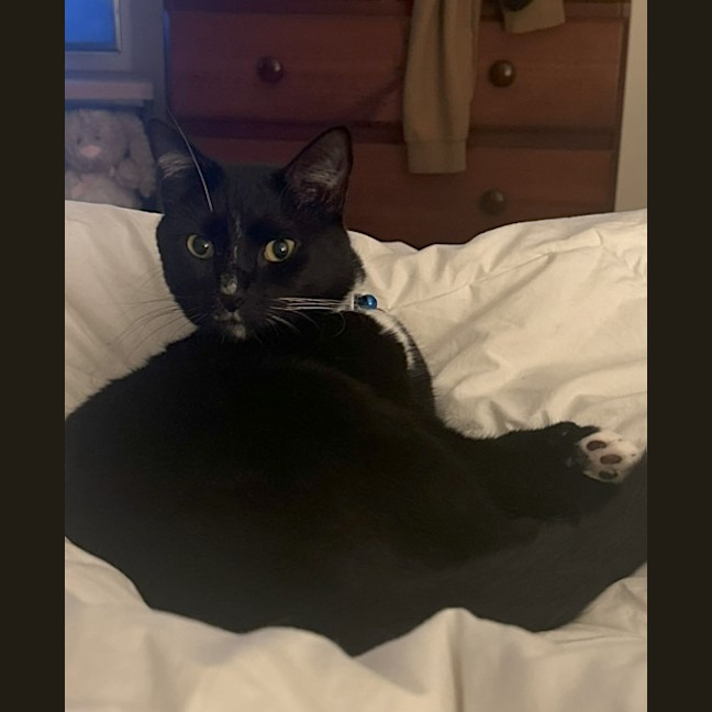 Photo of Wayne