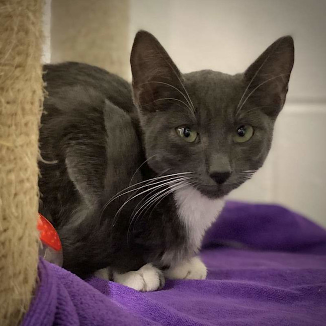 Photo of Luna