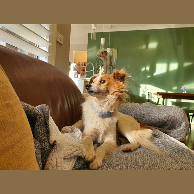 Photo of Basil Silvanus