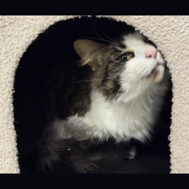 Photo of Bubbie