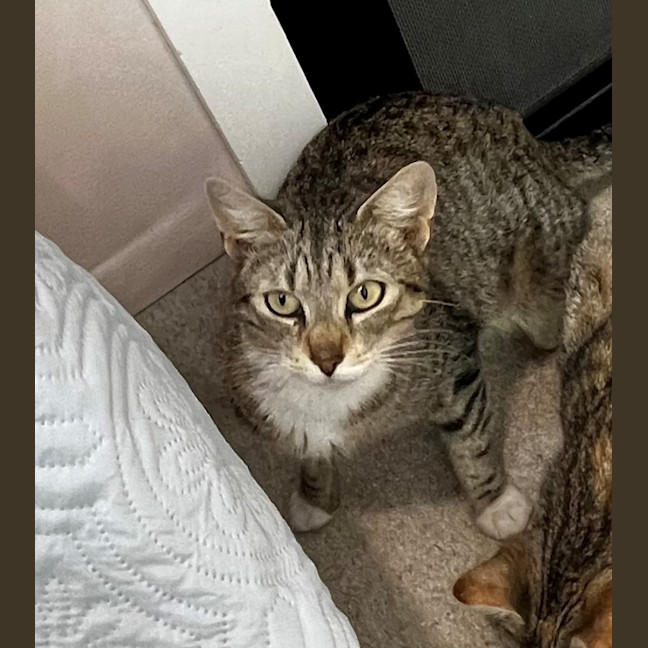 Photo of Arwen (9076)