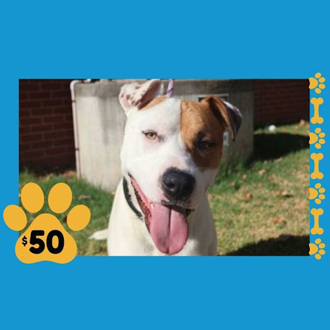 Photo of Patch