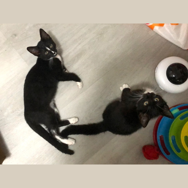 Photo of Crackers    K30