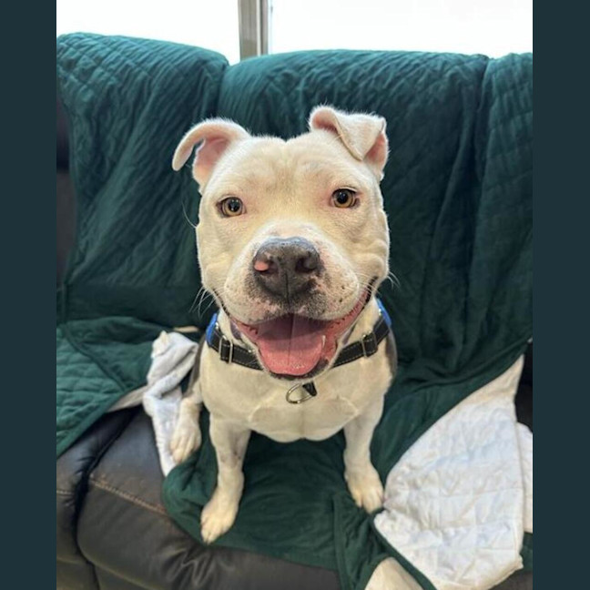 Photo of Rex