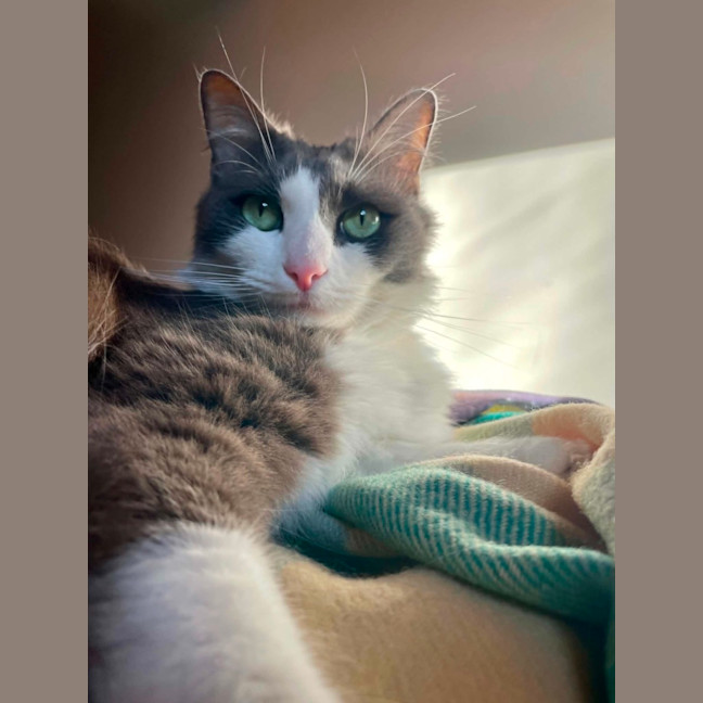 Photo of Cuddles