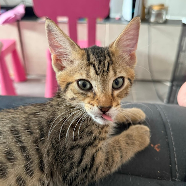 Photo of Billie 🍓