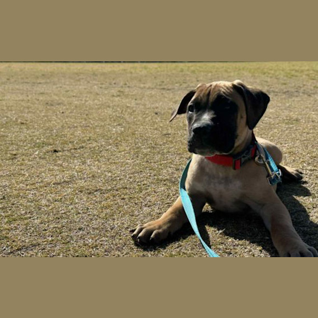 Photo of Gus