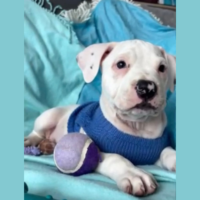 Photo of Cash