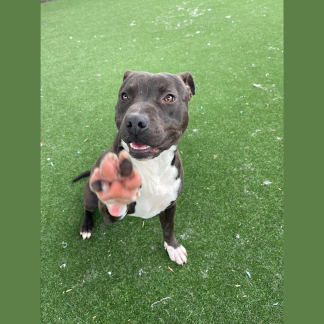 Photo of Axel Imp 1660