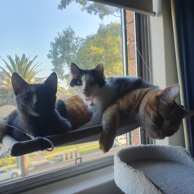 Photo of Mirabelle (With Aurora)