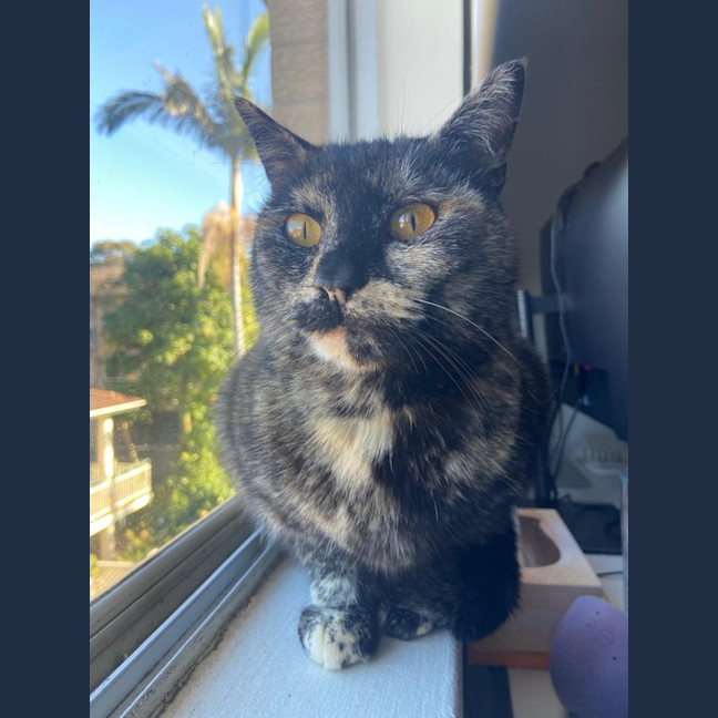 Photo of Lady Pru Pru