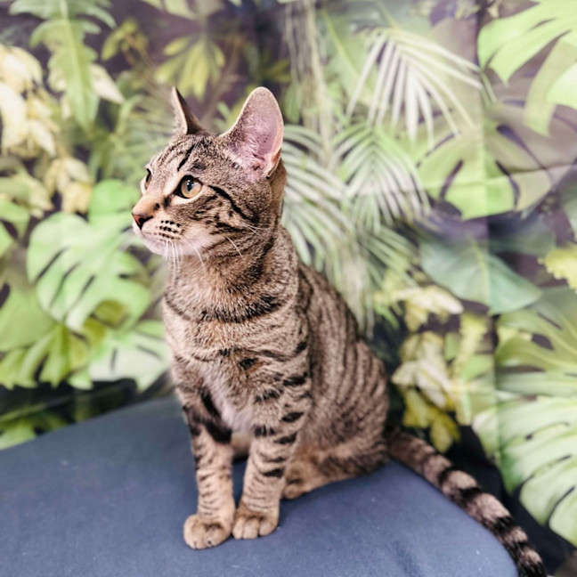 Photo of Lyle   Located In Preston 