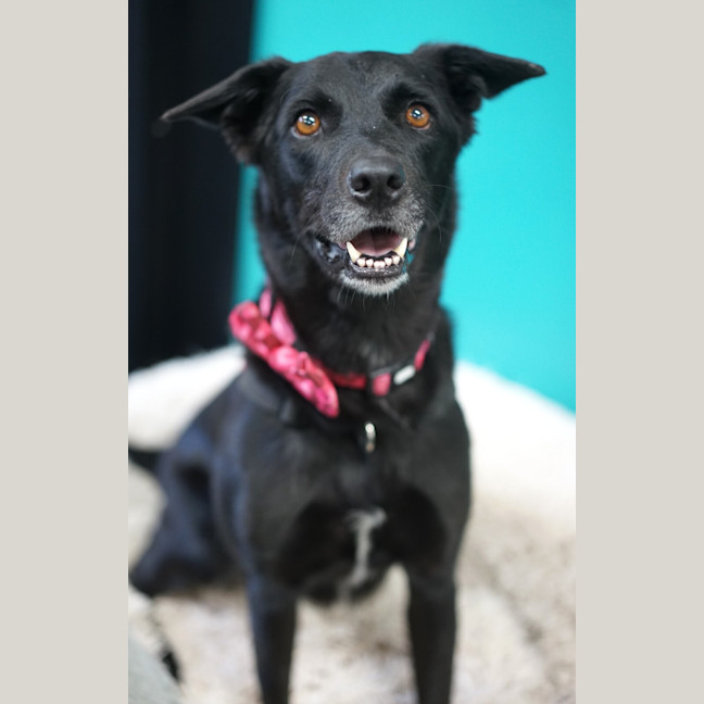 Photo of Marnie