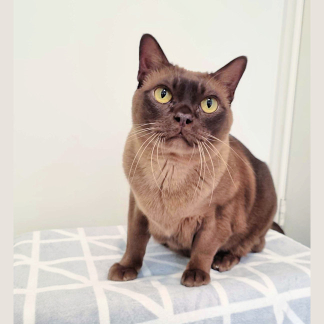 Photo of 🪕Banjo🪕