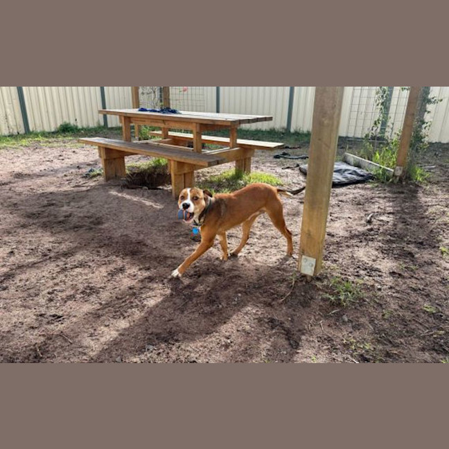 Photo of Hazel