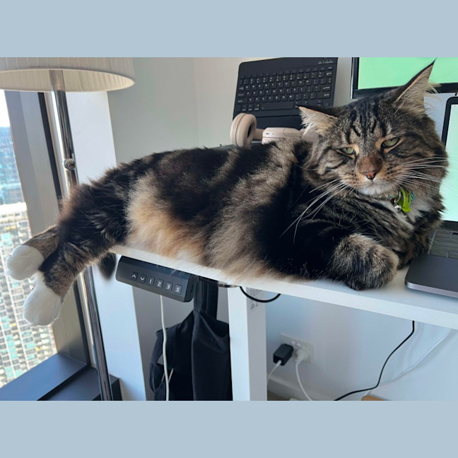 Photo of 🏴‍☠️ Pirate & Pearl 🏴‍☠️