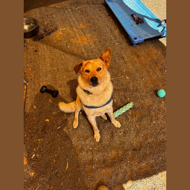 Photo of Kooch
