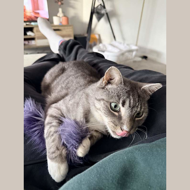Photo of Thunda