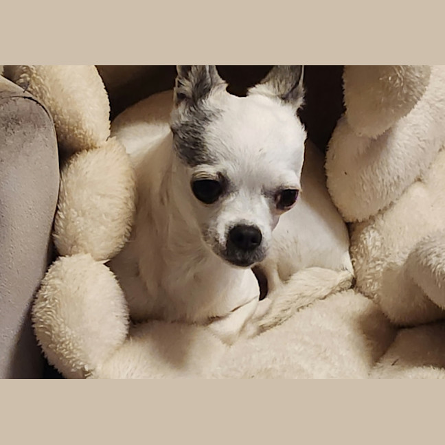 Photo of Tina