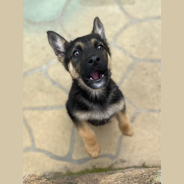 Photo of Figgie Smalls