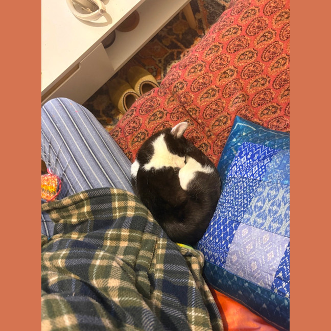 Photo of Willy Wobbla