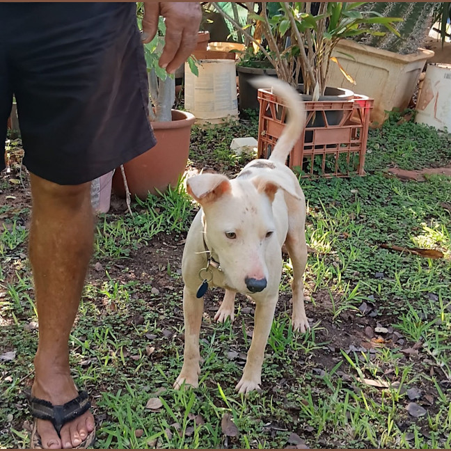 Photo of Jax