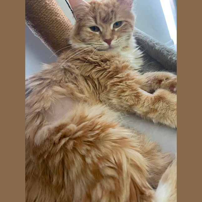 Photo of Momo