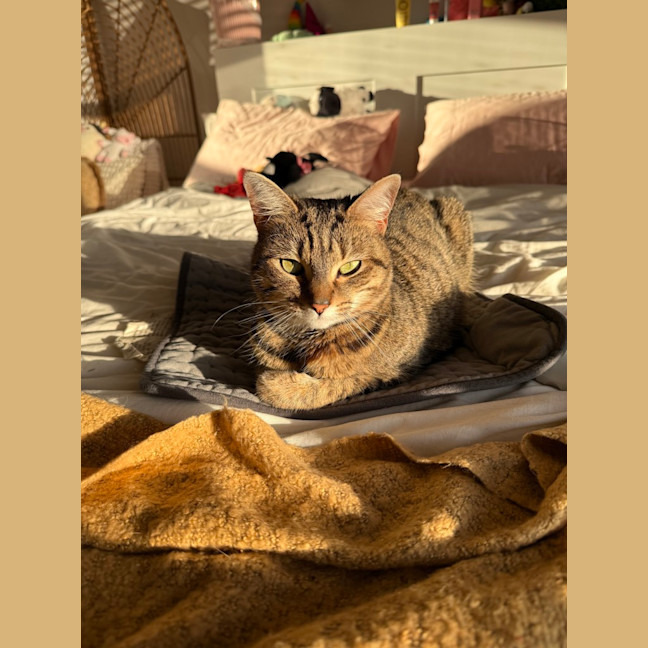 Photo of Fendi
