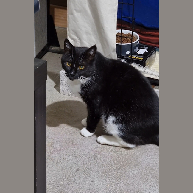 Photo of Esmeralda