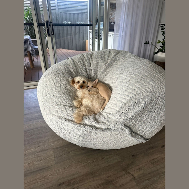 Photo of Pepper 