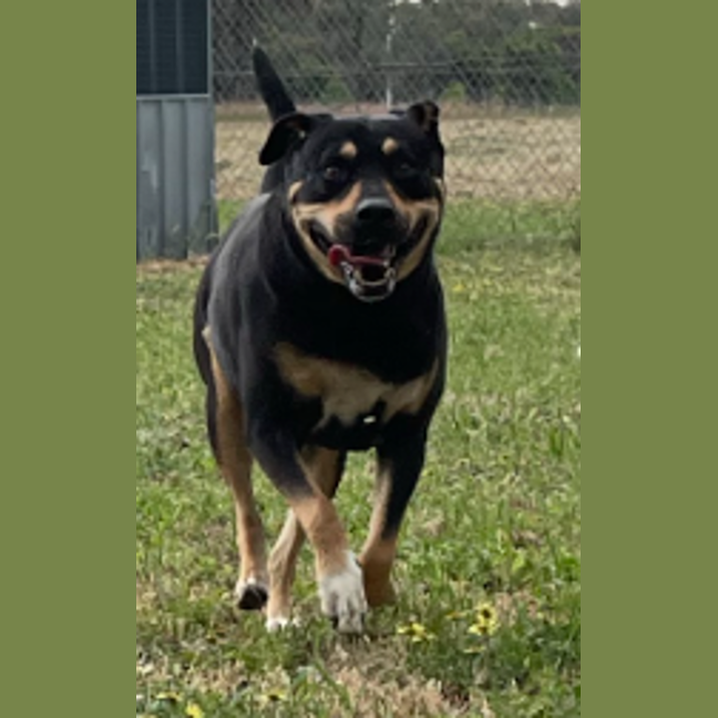 Photo of Lucy