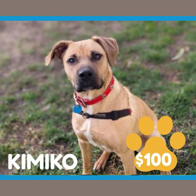 Photo of Kimiko