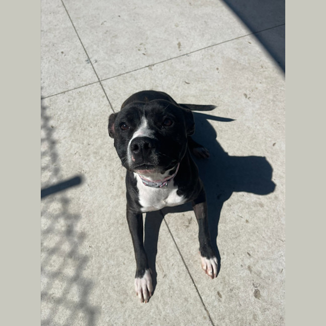 Photo of Enid Imp 1344