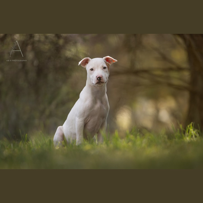 Photo of Yochee