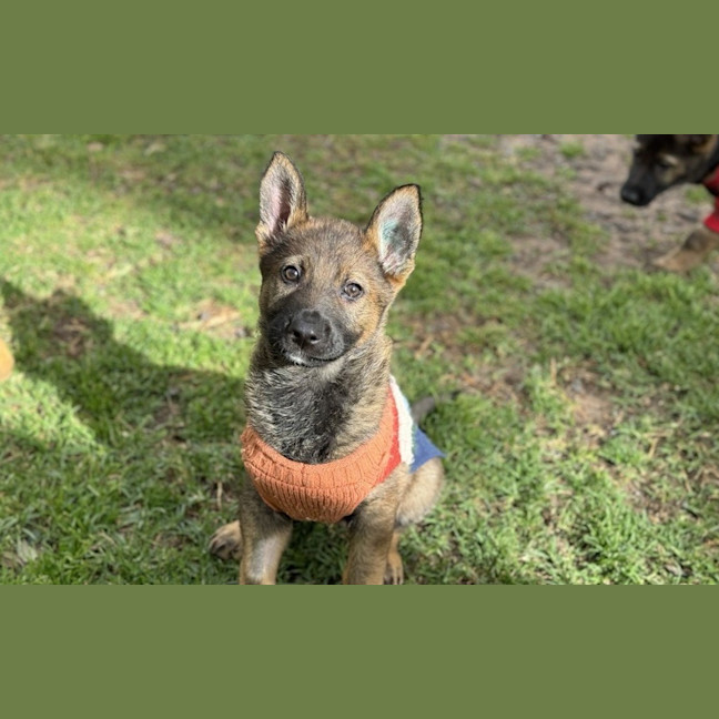 Photo of Evie