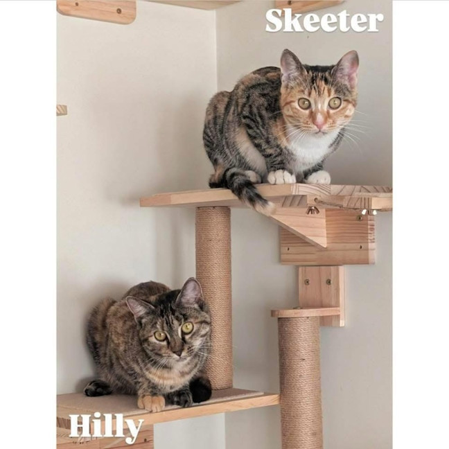 Photo of 12062 & 12063   Hilly & Skeeter