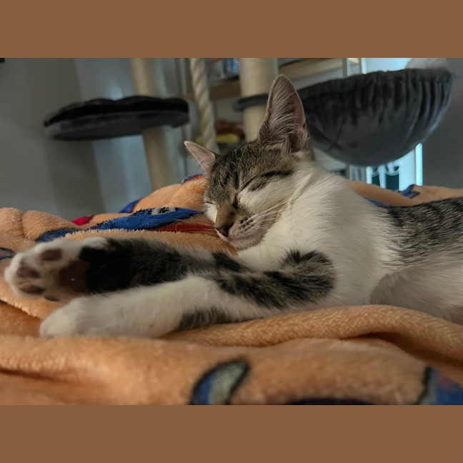 Photo of Pearl