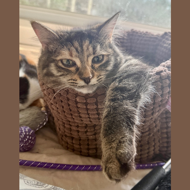 Photo of Francesca Moo