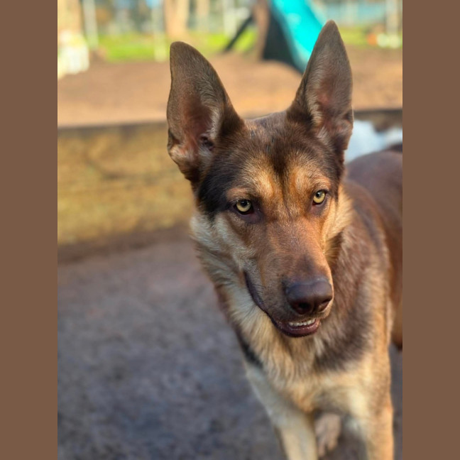 Photo of Theo
