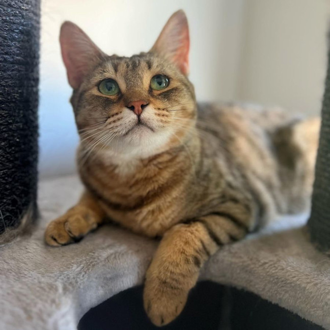 Photo of 6295   Adele