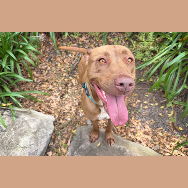 Photo of Missy