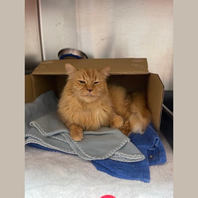 Photo of Roary