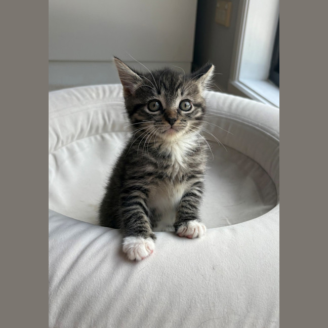 Photo of Minnie