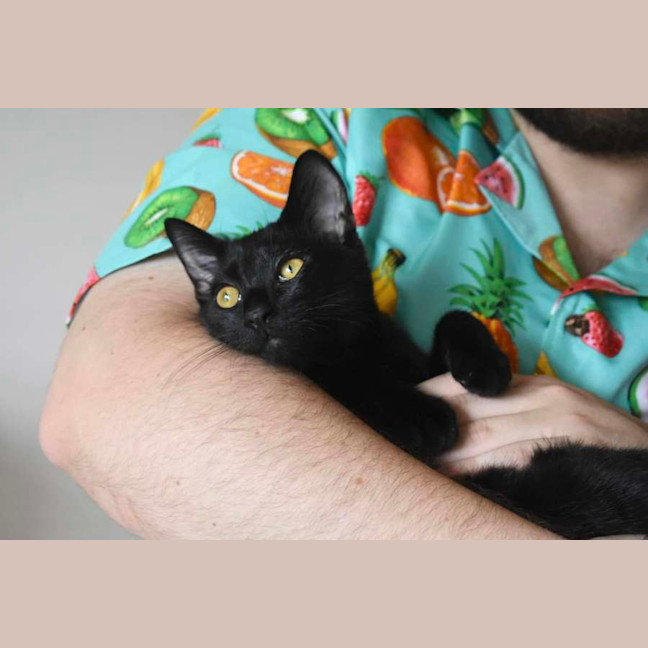 Photo of Dahlia
