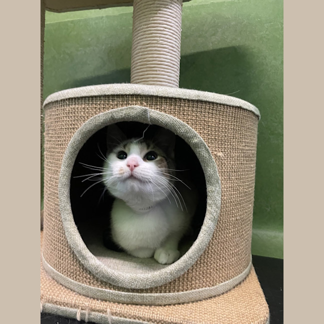 Photo of Tuna 