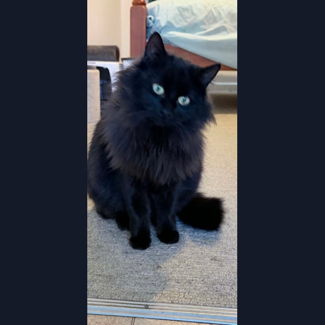 Photo of Dee