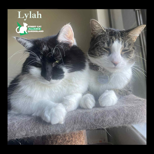 Photo of Lylah