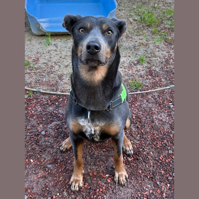 Photo of Polly